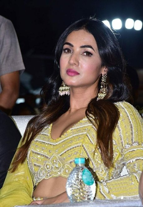 Sonal Chauhan ホット女優 写真