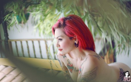 Fernanda Mercury ポルノスター 高品質 画像