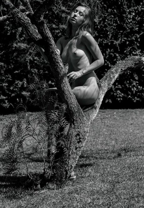 Diana Lark HDモデル 写真