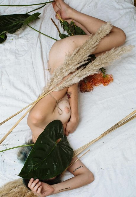 Carly Foulkes ポルノスター xxx アーカイブ