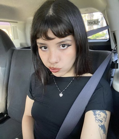 palechubs 美しいスター 写真