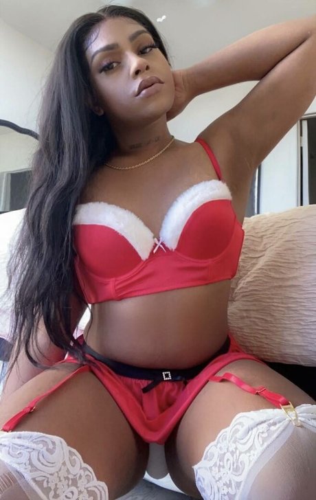 Bianca Brown HDモデル 画像