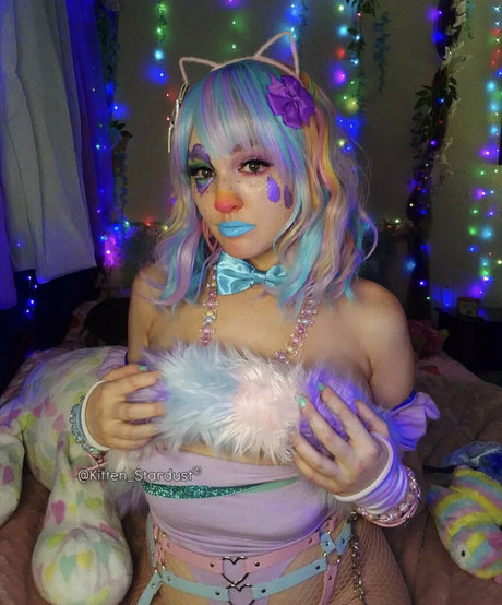 kitten stardust 限定スター 写真