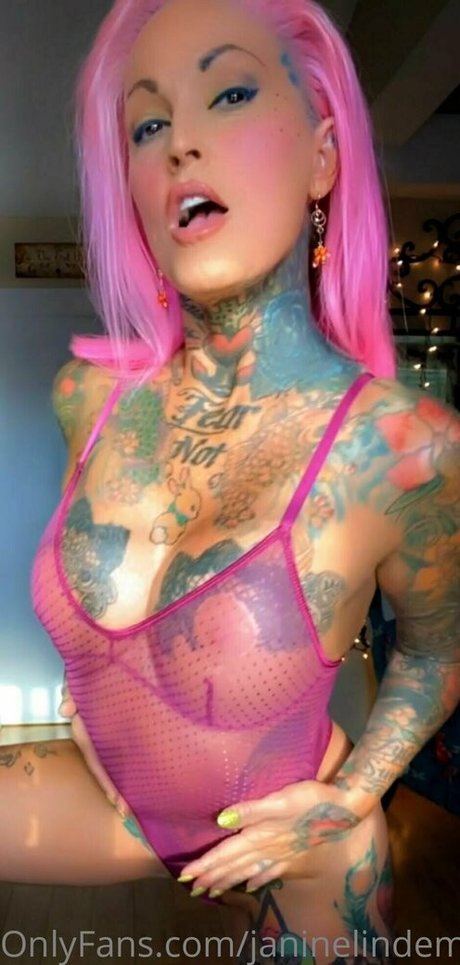 Janine Lindemulder アートスター 写真