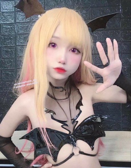 Mochimochi nn HDモデル アーカイブ