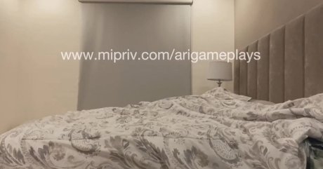 AriGameplay アートモデル 写真