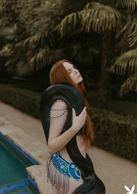 Jessica Lynette Brooks ポルノスター 無料 写真
