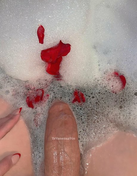 Vanessa9in 完璧なポルノスター 写真