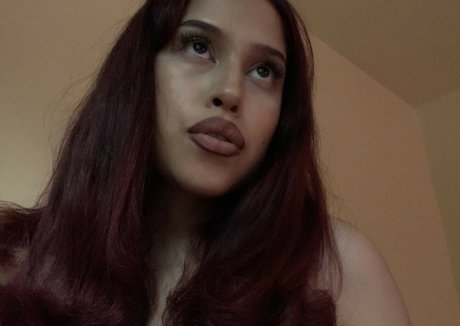 LaMoneyDiosa 高品質モデル 写真
