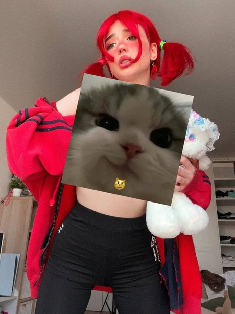 Flaffyx  かわいいスター 写真