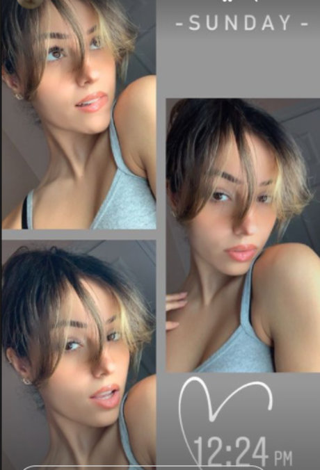 Mimisemaan ホットスター 写真