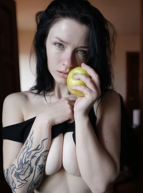 Innervus 最高のスター 写真