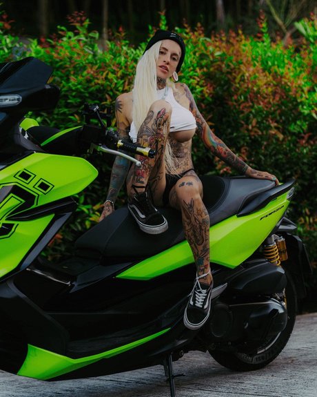 Bantikboy アートスター 写真