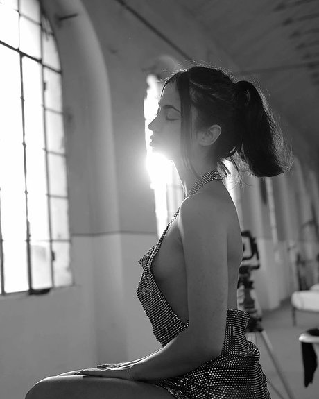 Lucrelisa  スター 写真