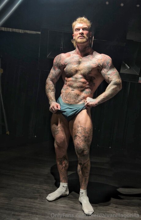 Therealvanillagorilla 高品質のポルノスター 写真