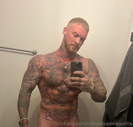 Therealvanillagorilla ヌードのポルノスター 写真