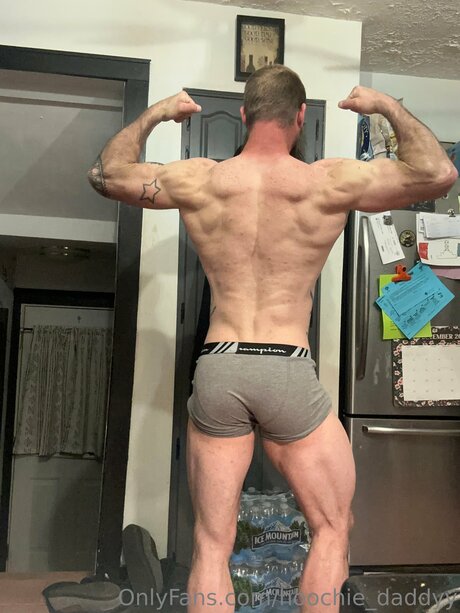 Hoochie Daddyy ポルノスター 画像