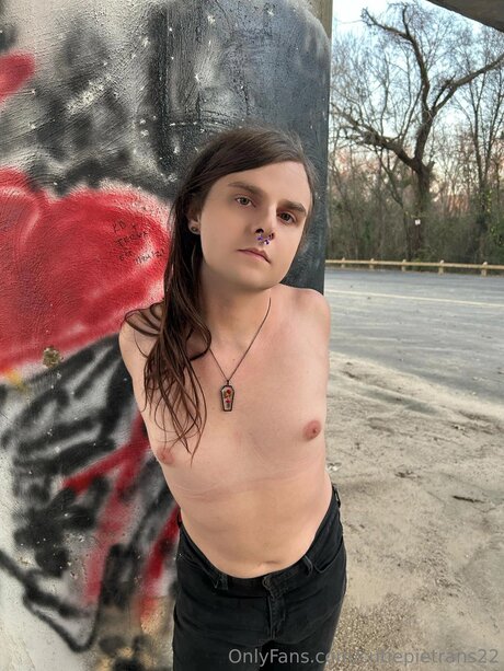 Cutiepietrans22 エロティックなモデル 写真