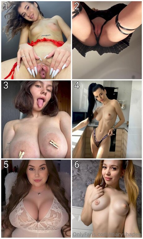 Maryshapee 独占モデル 画像