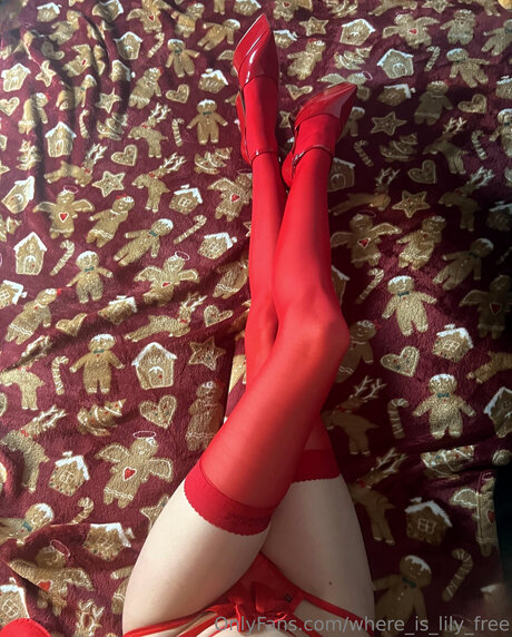 Where Is Lily Free かわいいポルノスター 写真