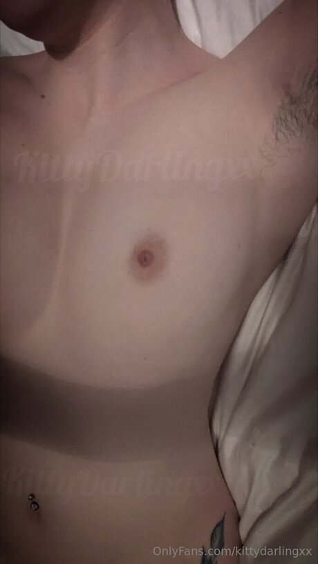 Kittydarlingxx 完璧なポルノスター 写真