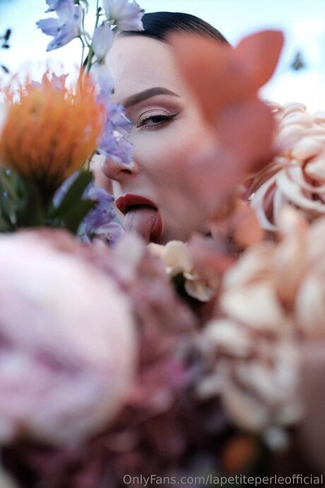 Lapetiteperleofficial ポルノスター 写真