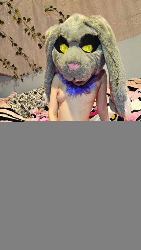 Oliverthewabbit ホットモデル 画像
