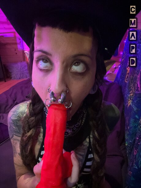 Iam Cmapd 美しいポルノスター 写真
