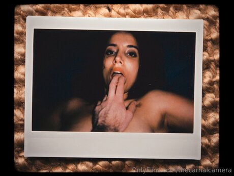 Thecarnalcamera セクシーなスター 写真