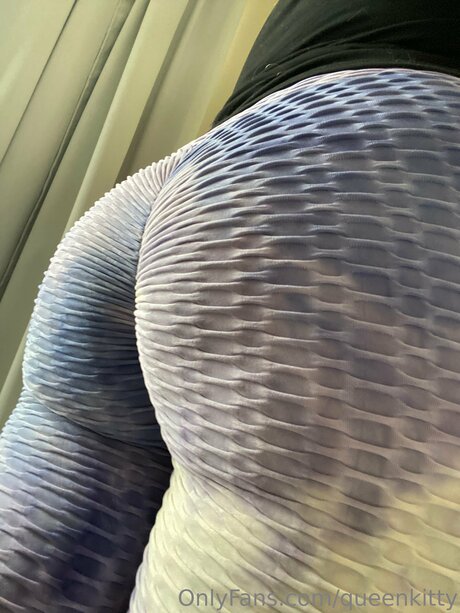 Queenkitty 完璧なポルノスター 画像