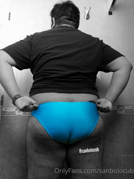 Sanbolocub アダルトモデル 写真