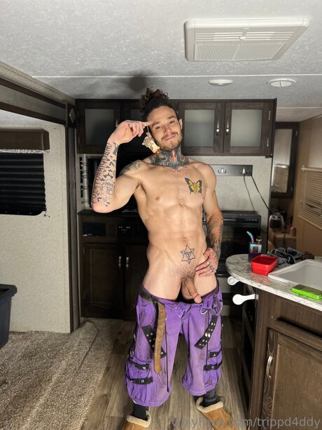 Trippd4ddy 限定スター 写真