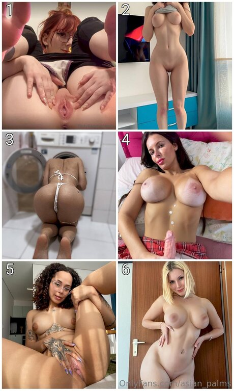 Asian Palms セックススター 写真