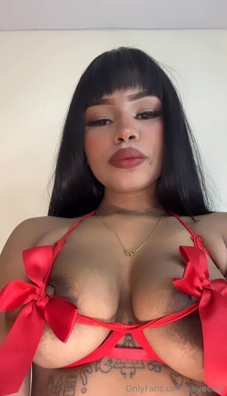 Nayecaro 高品質女優 写真