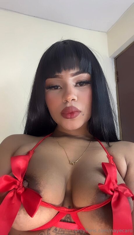 Nayecaro ポルノスター エロティック 写真