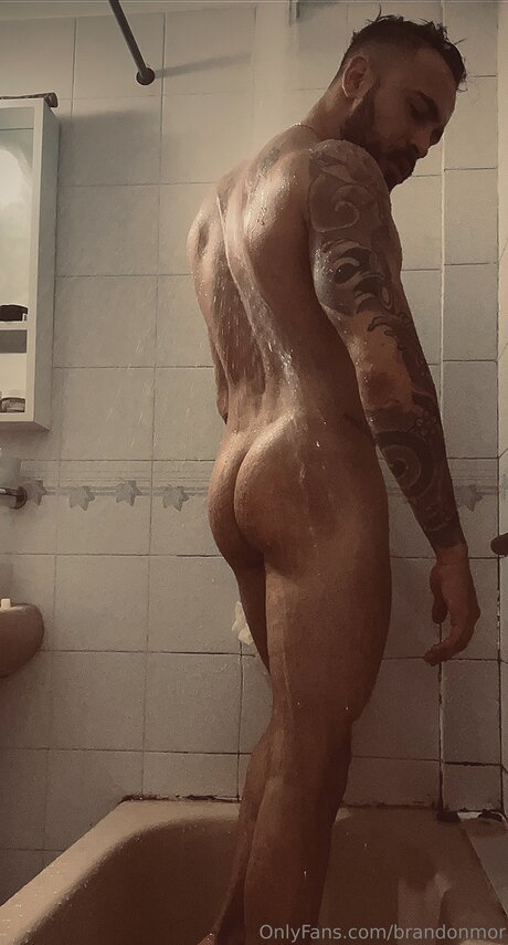 Brandonmor 無料スター 写真