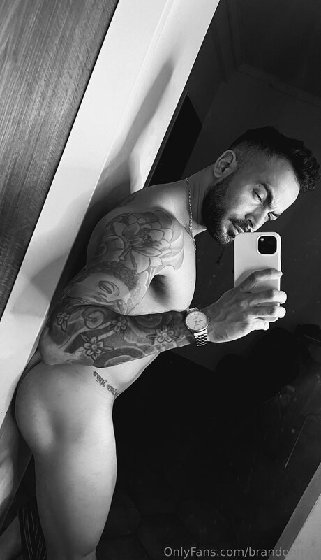 Brandonmor HDポルノスター 写真