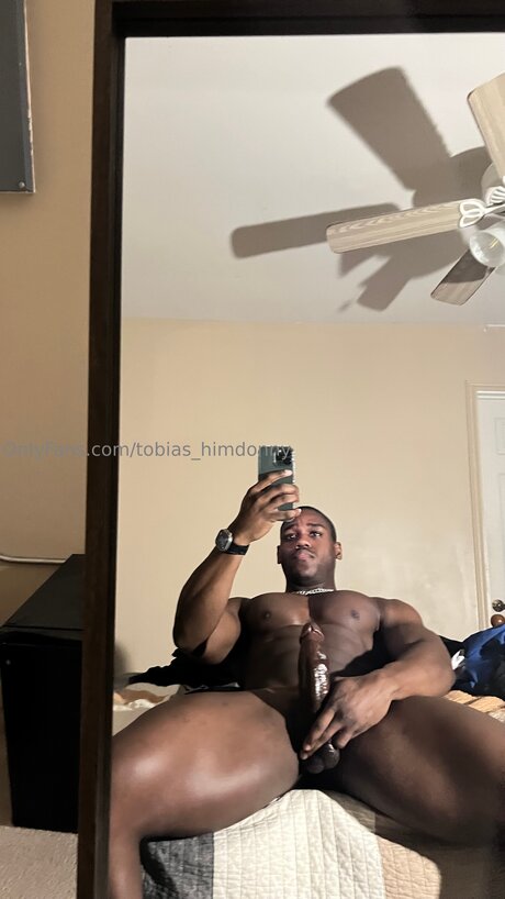 Tobias Himdonny アートモデル 画像