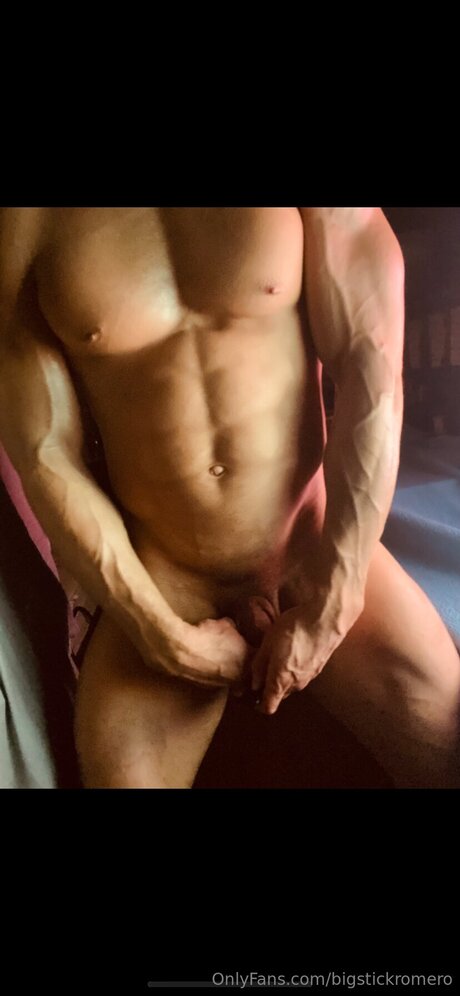 Bigstickromero アートモデル 画像
