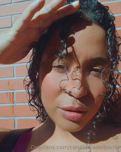 Canelitaladelbarrio 無料女優 画像