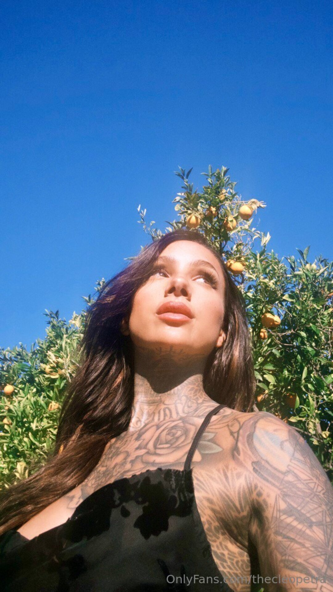 Thecleopetra ヌードモデル 写真