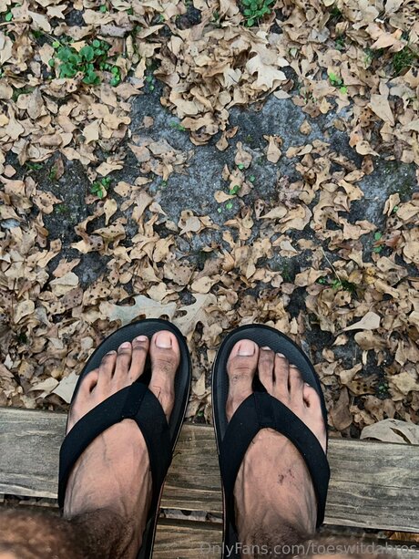 Toeswitdabros アートポルノスター 写真
