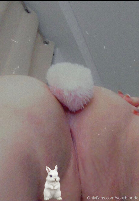 Yourblonde ポルノモデル 写真