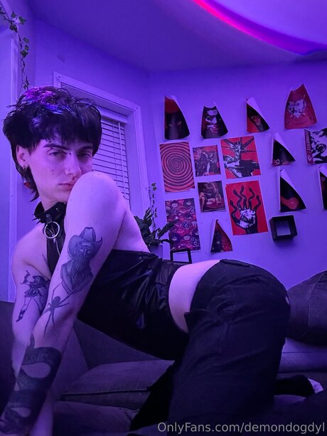 Demondogdyl 素敵なスター 写真