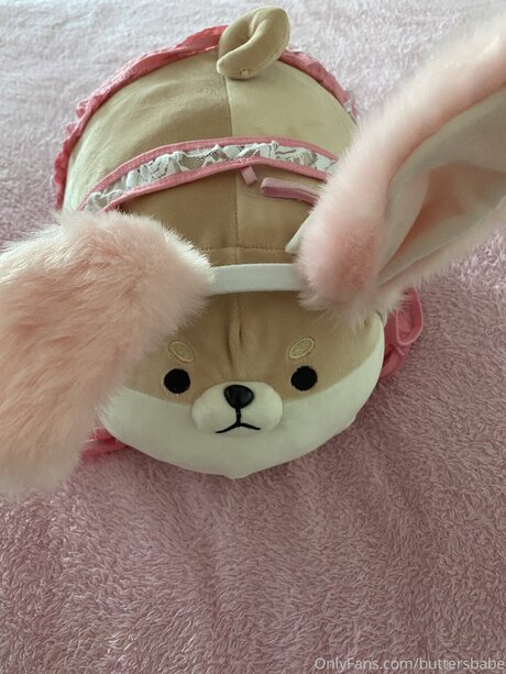 Zaykap ポルノスター ヌード 写真