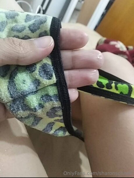 Sharonschneii 独占モデル 画像