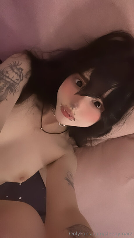 Sleepymarz トップスター 写真