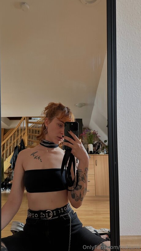 Redsunx 美しいスター 写真