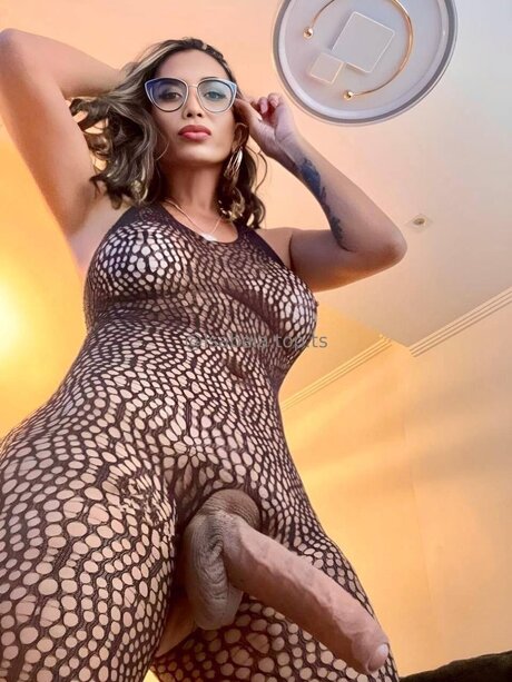 Isabelats Top スター xxx 写真