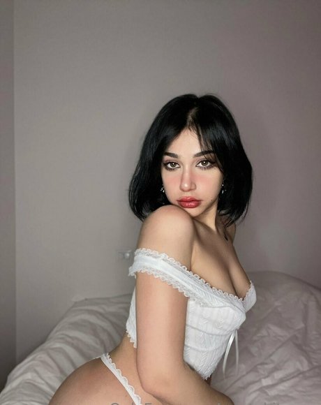 Minty Kitsune 高品質スター 写真